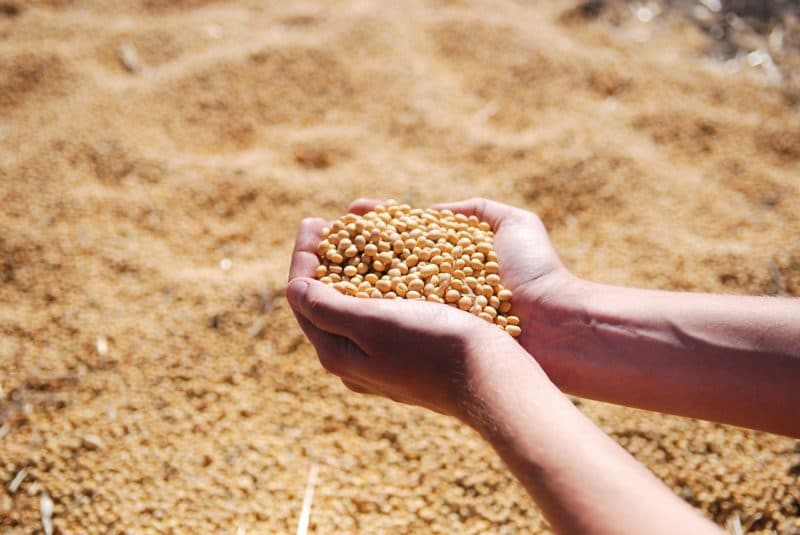 agricultura de precisión siembra