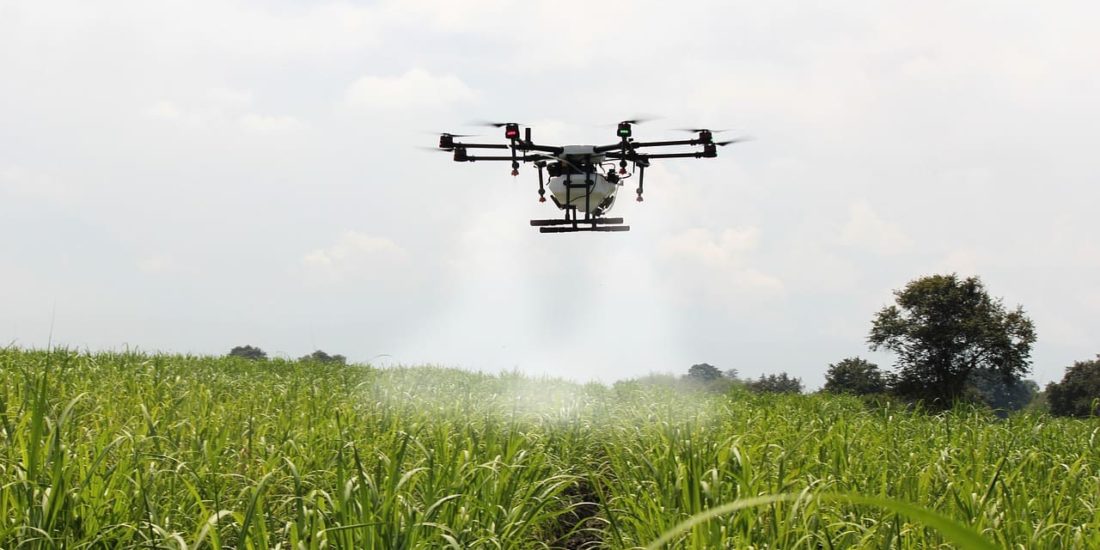 Digital transformation in the agricultural sector: drone technology